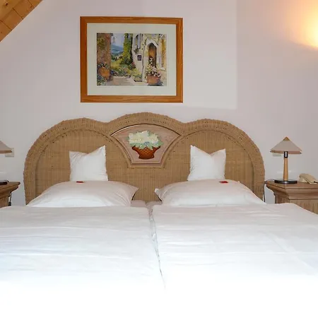 Sarbacher Hotel 3*