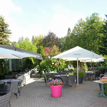 Hotel Sarbacher