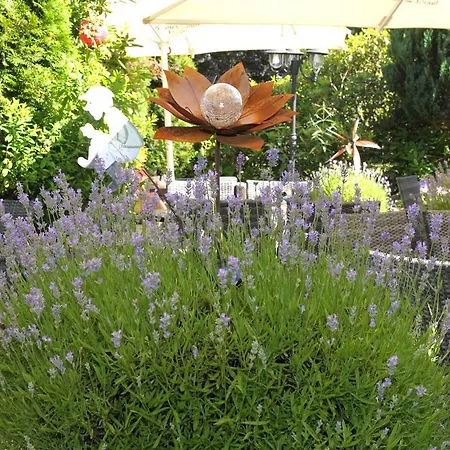 Sarbacher Hotel
