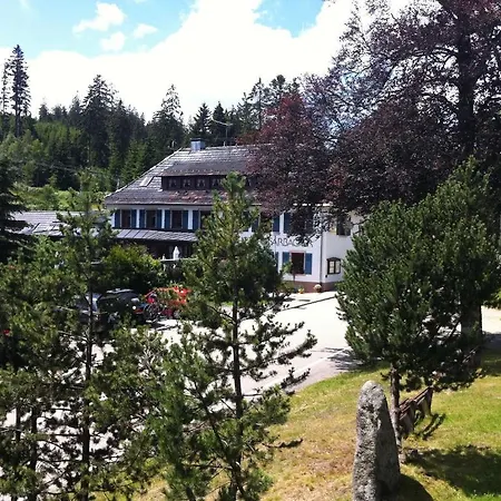Hotel Sarbacher 3*