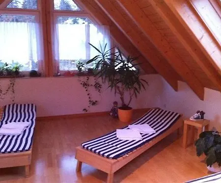 Sarbacher 3* Gernsbach