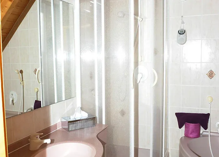 酒店 Sarbacher 盖恩斯巴赫