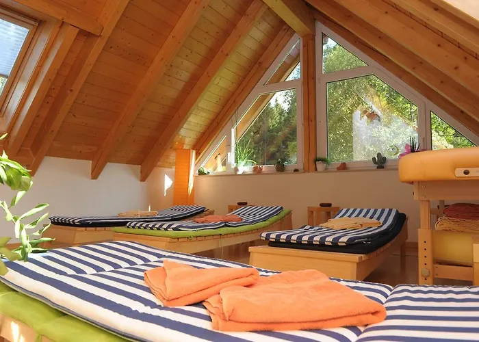 酒店 Sarbacher 盖恩斯巴赫